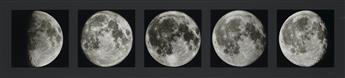 (LUNAR PHASES) A sequence of 15 photographs by Adolf Voigt and Hans Giebler depicting lunar phases, from waning to waxing crescents.